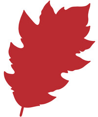 canadian maple leaf