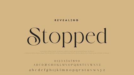 Beauty Luxury font alphabet logo. Typography beautiful fashion elegant classic letters serif italic fonts decorative wedding vintage font. vector illustration.