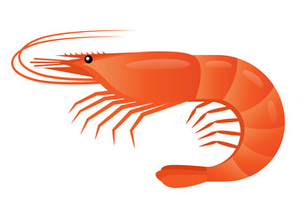 エビのイラスト