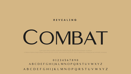 Beauty Luxury font alphabet logo. Typography beautiful fashion elegant classic letters serif italic fonts decorative wedding vintage font. vector illustration.