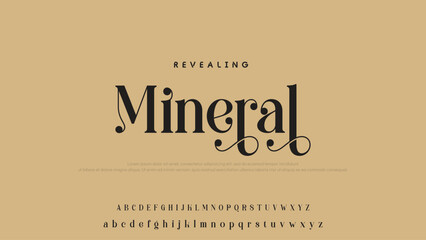 Beauty Luxury font alphabet logo. Typography beautiful fashion elegant classic letters serif italic fonts decorative wedding vintage font. vector illustration.