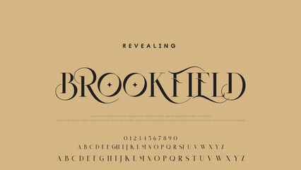 Beauty Luxury font alphabet logo. Typography beautiful fashion elegant classic letters serif italic fonts decorative wedding vintage font. vector illustration.