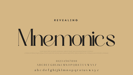 Beauty Luxury font alphabet logo. Typography beautiful fashion elegant classic letters serif italic fonts decorative wedding vintage font. vector illustration.