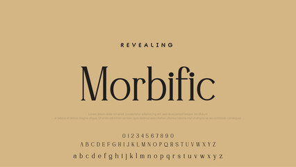 Beauty Luxury font alphabet logo. Typography beautiful fashion elegant classic letters serif italic fonts decorative wedding vintage font. vector illustration.
