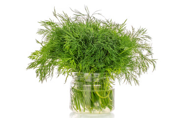 Fresh green dill in a glass jar, macro, isolated on white background.
