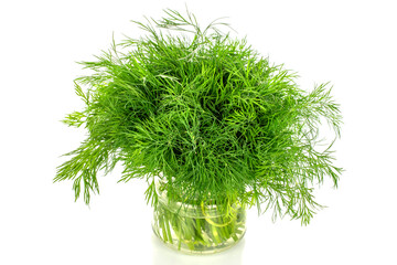 Fresh green dill in a glass jar, macro, isolated on white background.