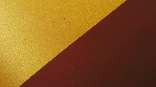 Vivid construction paper backgrounds in bold colors are gently animated by soft, natural shadows gliding across the surface, creating depth, movement, and visual warmth.