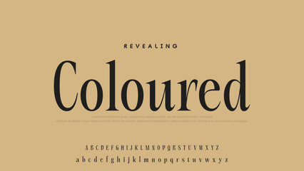 Beauty Luxury font alphabet logo. Typography beautiful fashion elegant classic letters serif italic fonts decorative wedding vintage font. vector illustration.