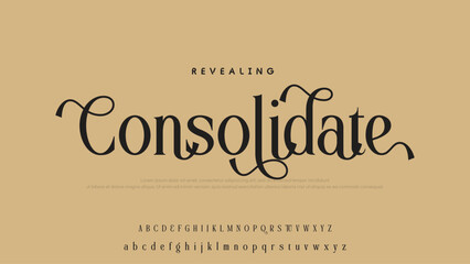 Beauty Luxury font alphabet logo. Typography beautiful fashion elegant classic letters serif italic fonts decorative wedding vintage font. vector illustration.