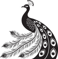 Fototapeta premium peacock feather vector