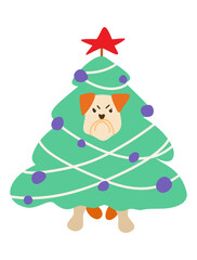 Grumpy Dog dressed as a Christmas Tree with red star on top