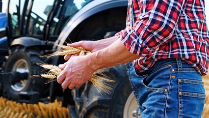 Agricultural worker holding golden wheat stalks, standing near tractor after harvest, displaying bountiful crop results