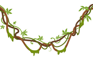 Green tropical liana plants. Climbing liana branches with moss, rainforest liana vines flat vector illustration. Cartoon jungle liana vegetation © GreenSkyStudio