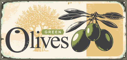 Vintage vector design for for green olives. Natural healthy food label template on old metal texture background. Olives retro sign vector illustration.