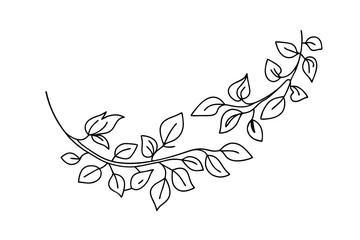 Elegant hand drawn botanical branch with leaves decorative nature element in black and white