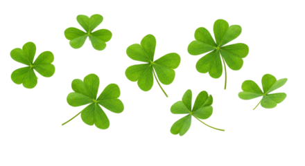 Festive clover flying, shamrock leaves isolated on transparent background