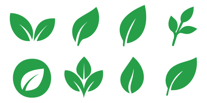 Green eco-friendly leaf icon set in minimalist style showing different leaf shapes for sustainability and nature theme