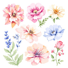 Watercolor painted floral clipart set