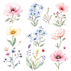 Fototapeta premium Watercolor painted floral clipart set