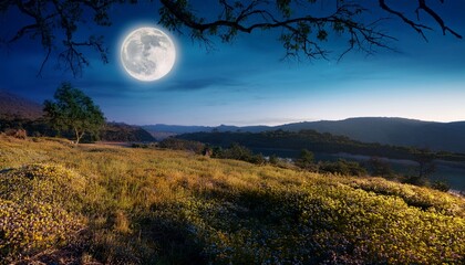 tranquil outdoor scene under a luminous moon