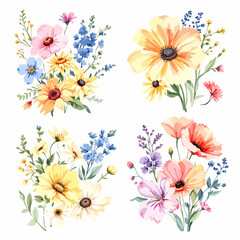 Beautiful watercolor floral set with hand-drawn summer wild field flowers, featuring clip art illustrations