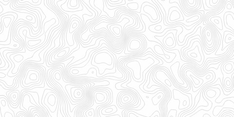 Abstract background vector. Abstract topographic contours map background. Abstract white pattern topography vector background. Black and white topography contour line map isolated on white background.
