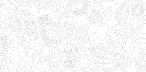 Abstract background vector. Abstract topographic contours map background. Abstract white pattern topography vector background. Black and white topography contour line map isolated on white background.