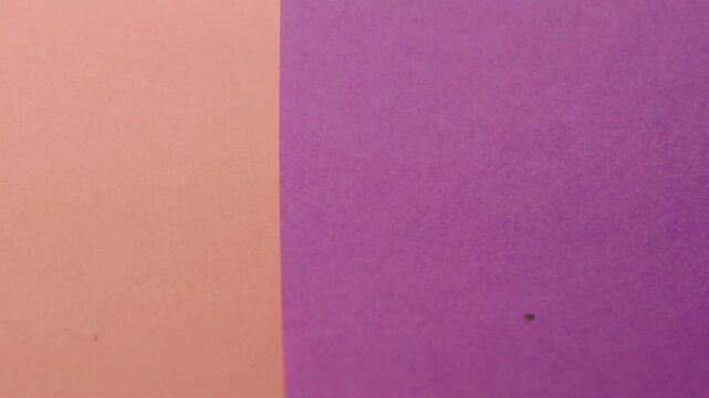 Vivid construction paper backgrounds in bold colors are gently animated by soft, natural shadows gliding across the surface, creating depth, movement, and visual warmth.