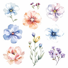 Beautiful floral set with watercolor hand drawn wild field flowers. Stock illustration. Clip art.
