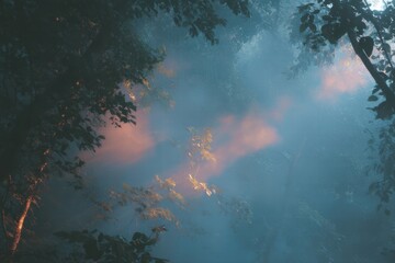 Obraz premium Glowing leaves dissolve into ethereal mist during unusual weather event in a tranquil forest setting at dawn