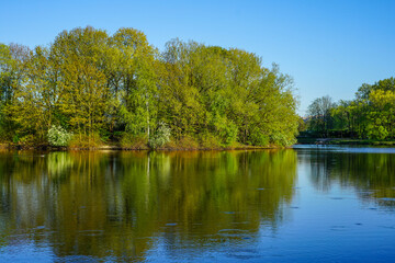 Reflective Tranquility: A Lakeside Scene