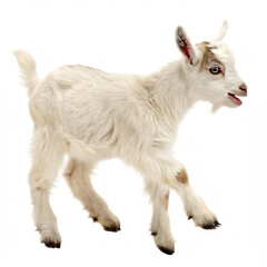Playful baby goat kid jumping happily isolated on a transparent background
