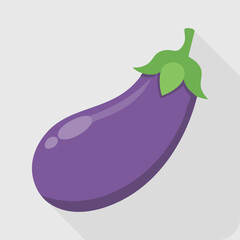 Purple Eggplant Vegetable Icon with Long Shadow , Healthy Food Flat Design.