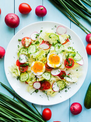 Plate with fresh spring salad of radish, cherry tomatoes, cucumber, greens iceberg and boiled eggs salad in olive oil, top view of plate with vitamin meal.