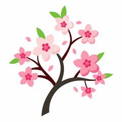 Cherry blossom branch. Pink cherry tree.