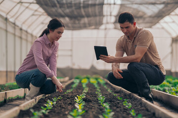 Teachers and students test and research soil for agriculture, farming, and cultivation in greenhouses.