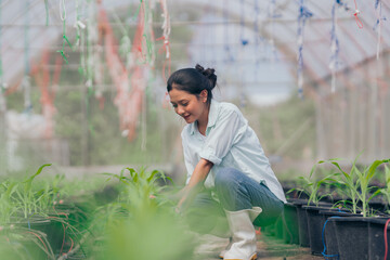 women young people  learning about farming, farming, and cultivation in a greenhouse.