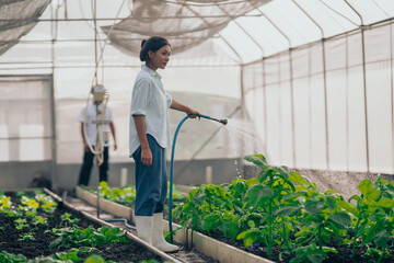 Group of young people  learning about farming, farming, and cultivation in a greenhouse.