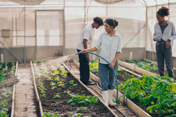 Group of young people  learning about farming, farming, and cultivation in a greenhouse.