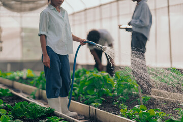 Group of young people  learning about farming, farming, and cultivation in a greenhouse.