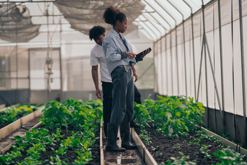Group of young people  learning about farming, farming, and cultivation in a greenhouse.