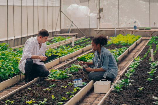 Teachers and students test and research soil for agriculture, farming, and cultivation in greenhouses. - Powered by Adobe