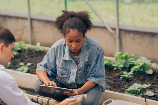 Teachers and students test and research soil for agriculture, farming, and cultivation in greenhouses.