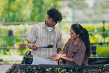 Young black man learning about farming, farming, and cultivation in a greenhouse.