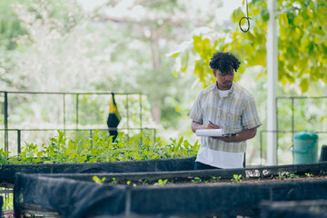 Young black man learning about farming, farming, and cultivation in a greenhouse.