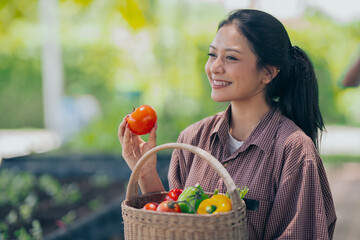 Young woman learning about farming, farming, and cultivation in a greenhouse.