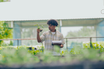 Young black man learning about farming, farming, and cultivation in a greenhouse.