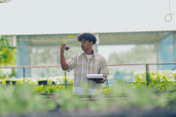 Young black man learning about farming, farming, and cultivation in a greenhouse.