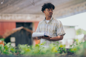 Young black man learning about farming, farming, and cultivation in a greenhouse.