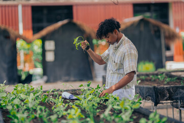 Young black man learning about farming, farming, and cultivation in a greenhouse.